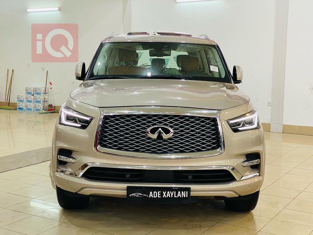 ئينفنتي QX80